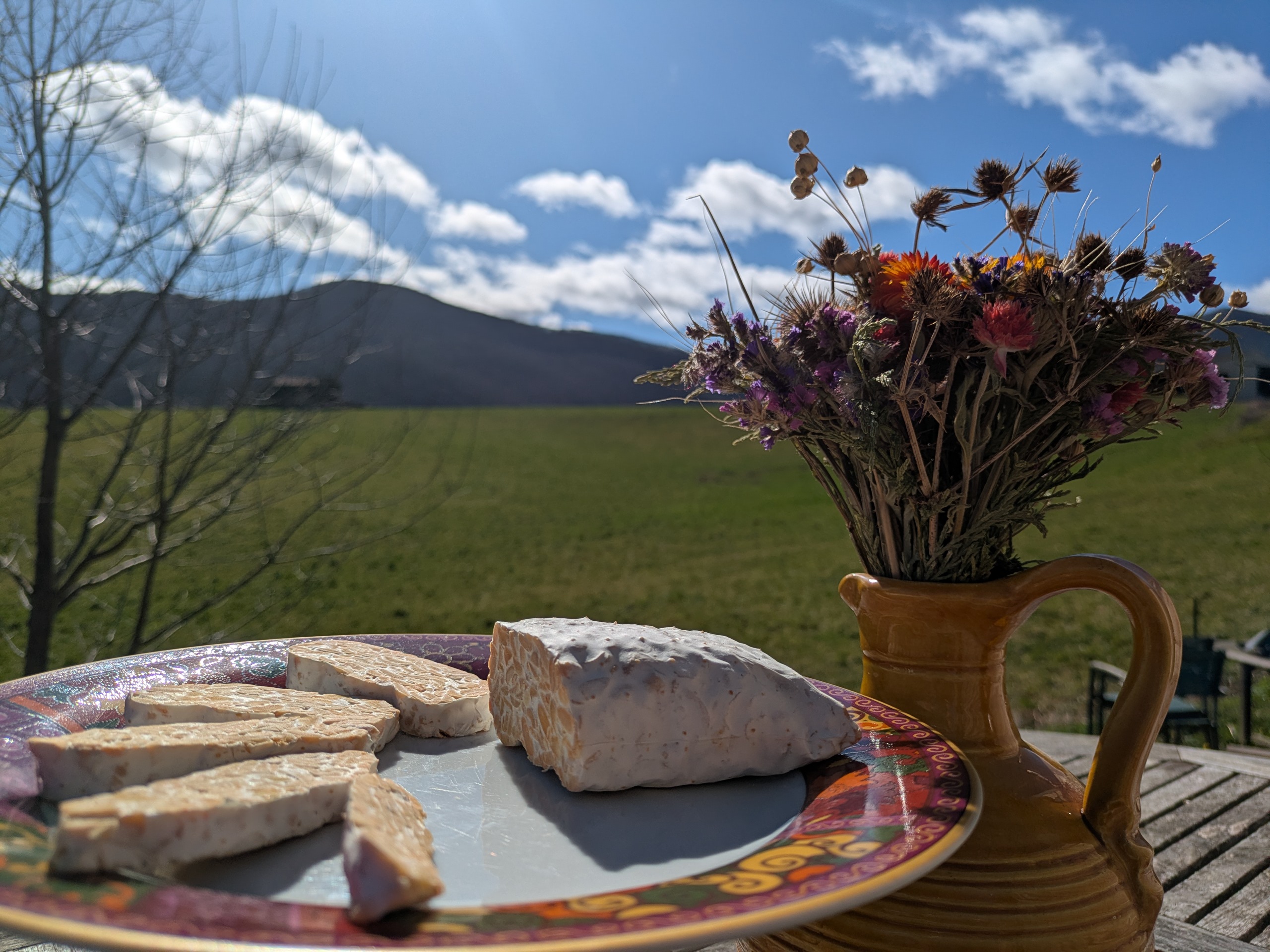 Tempeh Artisanal des Pyrenees !